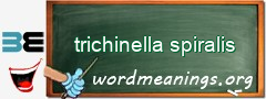 WordMeaning blackboard for trichinella spiralis